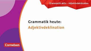 Adjektivdeklination  Grammatik üben mit der neuen Grammatik aktiv [upl. by Eatnuahs277]