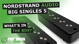 Nordstrand Big Single 5 Bass Pickup Set What’s In The Box A CloseUp Look [upl. by Ees]