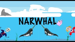 The narwhal song  Songs for kids  Aquatic animals for kids  Learn about narwhals [upl. by Lanahtan]