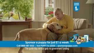 Guide Dogs Sponsor a Puppy TV ad [upl. by Haidabez858]