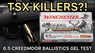 BARNES TSX KILLERS 65 Creedmoor Winchester Copper Impact 125gr Ammo Test [upl. by Dosh]