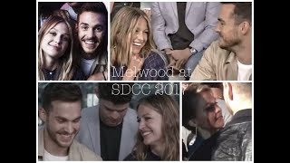 Melwood  SDCC 2017 [upl. by Nodnnarb]