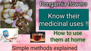 Pongamia flower medicinal uses  Karanja  How to use Pongamia pinnata for Diabetes and Piles [upl. by Thurber566]