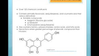 Matricaria recutita German Chamomile [upl. by Weinman330]