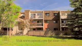 Calgary Apartments for Rent Video  5300 Rundlehorn Dr NE [upl. by Artemla559]