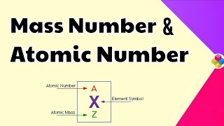 Atomic Number amp Mass Number  Structure of Atom  Class 11 amp 12  Science [upl. by Ennovad]