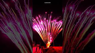 156 Shots Purple Peacock fireworkscake merrytimefireworks 美太156发紫孔雀 [upl. by Gaston]