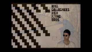 Noel Gallaghers High Flying Birds  Riverman [upl. by Ahsimek]