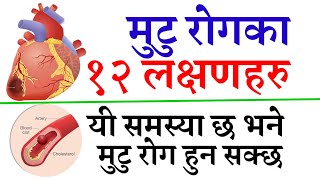 मुटु रोगका १२ लक्षणहरु  12 SYMPTOMS OF HEART DISEASE  यी लक्षण देखिए मुटु रोग हुन् सक्छ heart [upl. by Shelba]