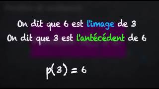 Fonction  Un vocabulaire bien précis 3eme [upl. by Solohcin]