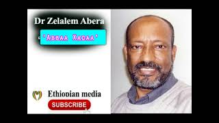 Zelalem Abera Abbaa xadaa oromo poem [upl. by Alur401]