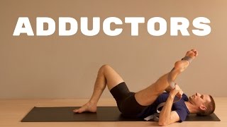 Hip Adductor Groin Stretch  Active Isolated Stretching [upl. by Bord]