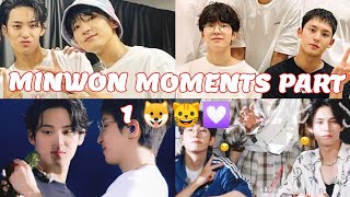 Minwon Moments Part 1 🐶🐱❤️💟 minwon meanie mingyu wonwoo seventeen kimmingyu jeonwonwoo kpop [upl. by Aneloj870]