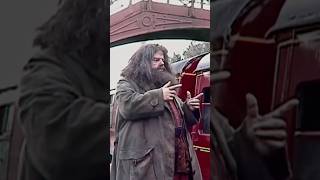 How Often Hagrid Was FAKE in Harry Potter [upl. by Timi]