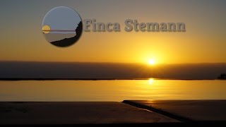 Finca Stemann Luxury Villas on Tenerife for your Holidays [upl. by Hamirak44]