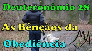 Deuteronômio 28  As Bênçãos da Obediência [upl. by Ailimat454]