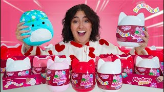 UNBOXING 15 MYSTERY VALENTINES SQUISHMALLOWS [upl. by Bajaj95]