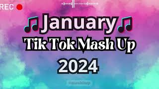 TikTok Mashup 2024 🎵 [upl. by Aiouqahs]