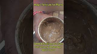 Magic Fertilizer for Plants Seeds and Fertilizers for Sale contact only WhatsApp 8801719727 [upl. by Aker]