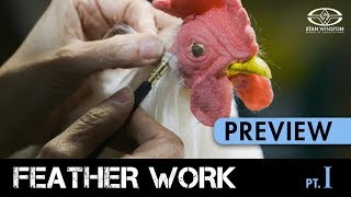 Feather Work Part 1 Realistic Bird Feathering Techniques  PREVIEW [upl. by Concordia888]