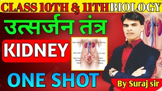 Excretory System  उत्सर्जन तंत्र Class 10th 11th Biology Surya GS Online Classes [upl. by Yelhs]