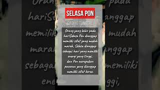 selasa pon primbonwatak primbontanggallahirweton [upl. by Asnarepse]