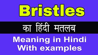 Bristles Meaning in HindiBristles का अर्थ या मतलब क्या होता है [upl. by Hosfmann]