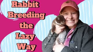 Our Low Maintenance Way of Breeding Rabbits [upl. by Brenda]