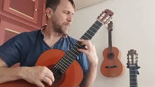 B72 Largo 2nd Movement from Vivaldis Guitar Concerto in D [upl. by Oluas]