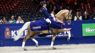 Odin at the Final Presentation of the Gelders Stallion Competition  KWPN Stallion Show 2024 [upl. by Morgenthaler173]