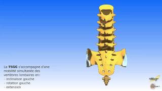 Les mouvements associés du sacrum et du rachis lombaire [upl. by Laflam294]