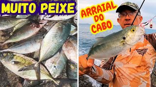 PEIXE em TODAS as ISCAS  JIG HEAD JUMPING JIG PLUG DE MEIA AGUA PESCARIA em ARRAIAL do CABO RJ [upl. by Burger624]