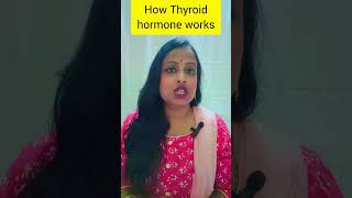 How thyroid hormone workshealth thyroidhormone thyroidgland hypothyrodism hyperthyroidism [upl. by Manfred]