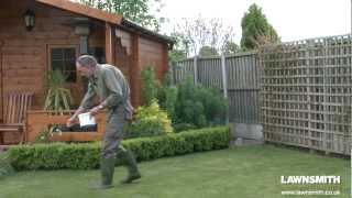 How to Over Seed a Lawn after Raking or Scarifying [upl. by Hunley122]