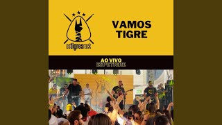 Vamos Tigre Ao Vivo [upl. by Chaunce]