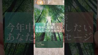 蠍座♏今年中に結婚したいあなたへメッセージ♏見た時がタイミング✨占い✨オラクルカードリーディング [upl. by Zia]