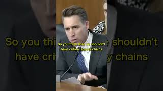 Sen Hawley BLASTS This Director For Shutting Down Mines In The United States DESTROYING Our Supply [upl. by Enilekcaj]