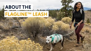 About the Flagline™ Leash [upl. by Sher]