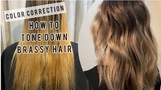 COLOR CORRECTION  Toning Down BRASSY Hair  Tips For FORMULATING [upl. by Otrebcire214]