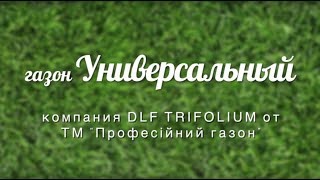 Газон Универсальный компания DLF Trifolium от ТМ quotПрофесійний газонquot [upl. by Jacquette]