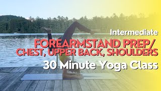 30 Minute Yoga Class  Forearmstand Prep  Chest Upper Back Shoulders [upl. by Eirual]