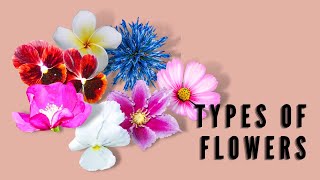 TYPES OF FLOWERS COMPLETE amp INCOMPLETEPERFECT amp IMPERFECTMONOECIOUS amp DIOECIOUS [upl. by Rudelson]