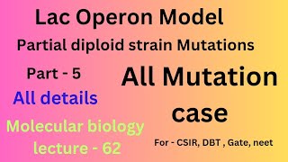 Lac Operon Model  Lac Operon Mutations  PARTIAL DIPLOID Lac Operon of Ecolicsirnetlifescience [upl. by Fulmis]