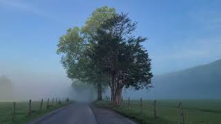 Cades Cove First Day No Car Wednesday of 2024 5 01 24 [upl. by Tsenrae730]