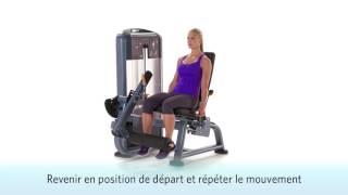 Leg Extension Precor Discovery [upl. by Hasile]