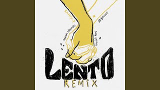 Lento Remix [upl. by Madelin]