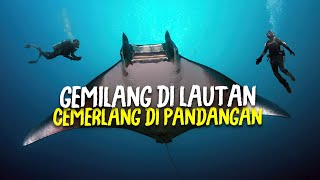 Ikan Peh Tidak Boleh Dianggap Remeh AlamSemenit [upl. by Achilles]