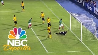 Jamaica 01 México Highlights Hexagonal CONCACAF  Deportes Telemundo  NBC Deportes [upl. by Ecyla]