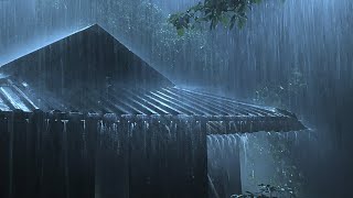 Overcome Stress to Sleep Instantly with Heavy Rain amp Paramount Thunder Sounds on a Tin Roof at Night [upl. by Ameer653]