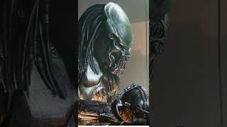 predator predatormovie alienvspredator yautja alien avp predators arnoldschwarzenegger [upl. by Aed]